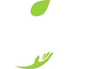 freshmed